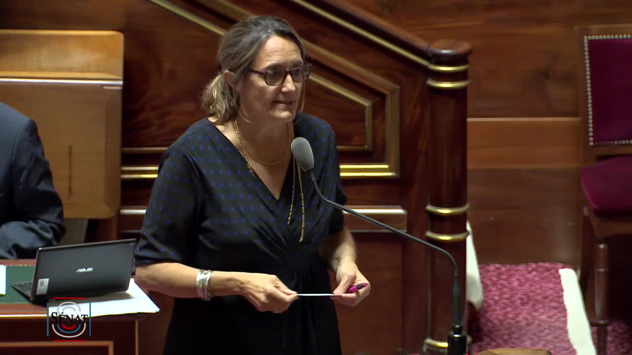 Séance publique du 18 juillet 2019 (soir)
