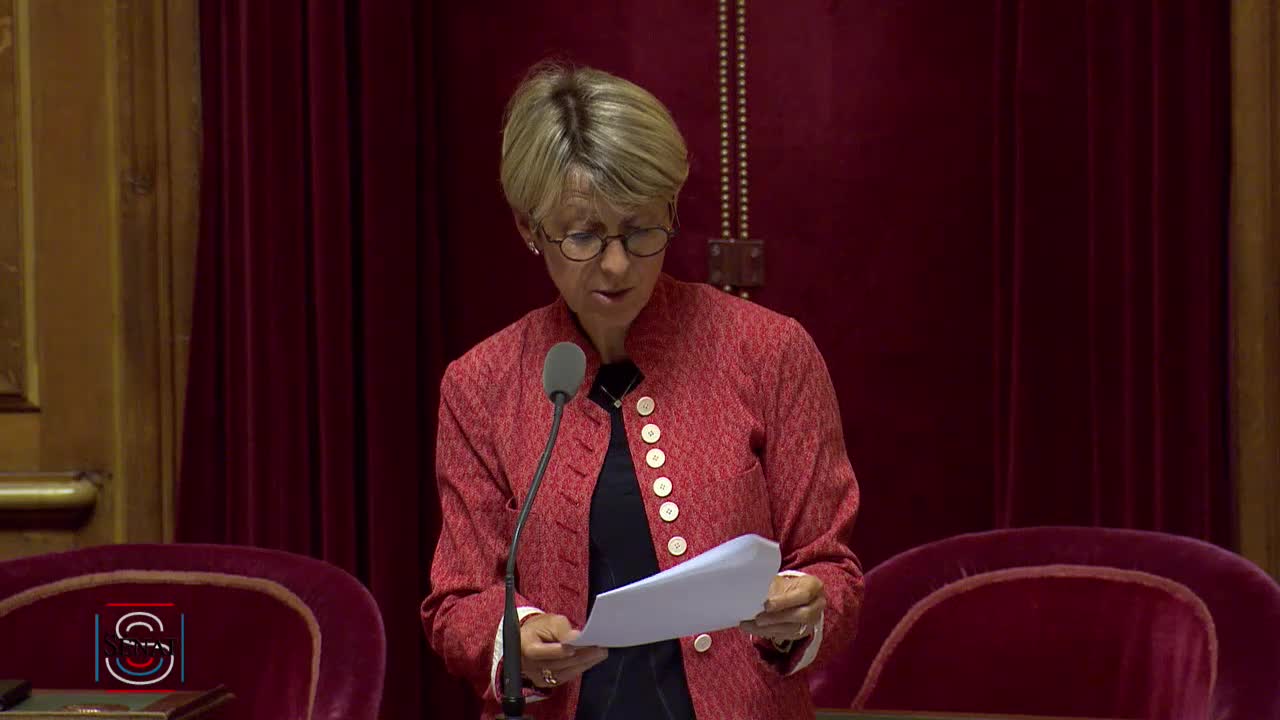 Séance publique du 18 juillet 2019 (soir)