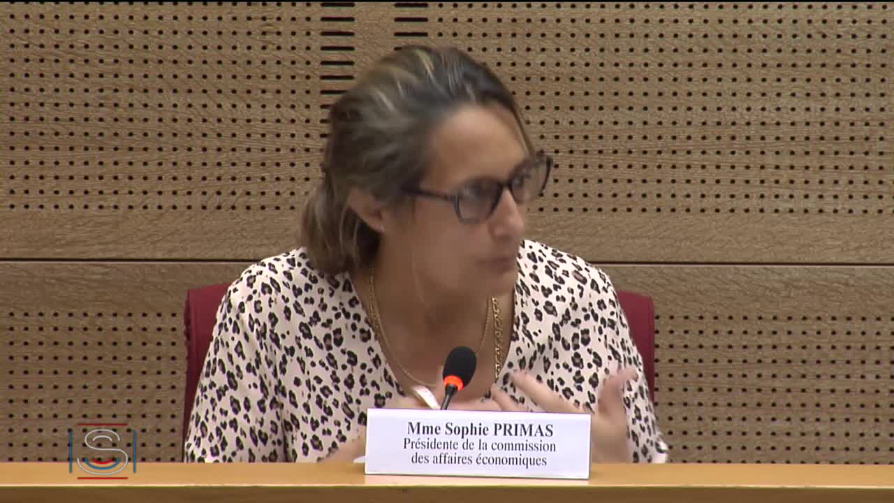 Audition plénière - Refonte du dispositif public d’appui au commerce extérieur