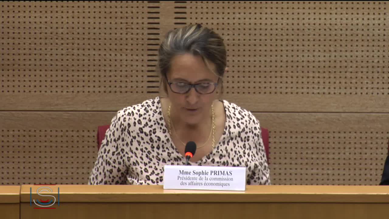Audition plénière - Refonte du dispositif public d’appui au commerce extérieur