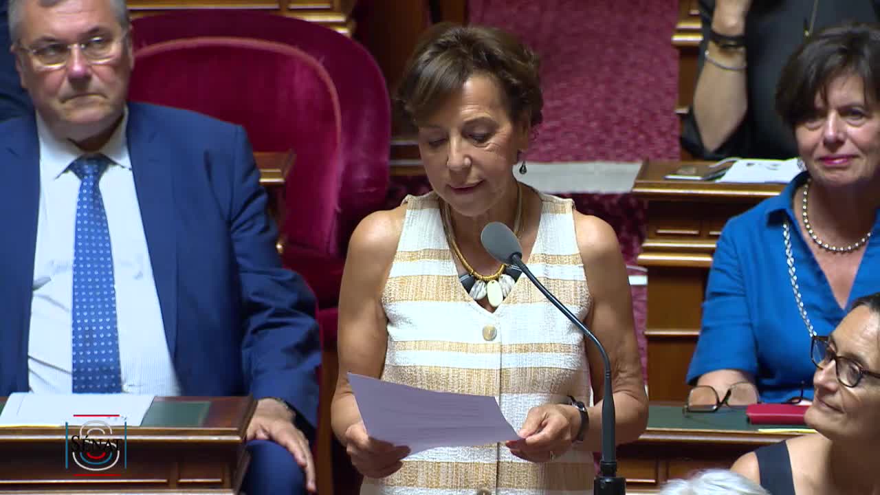 Séance publique du 23 juillet 2019 (après-midi)