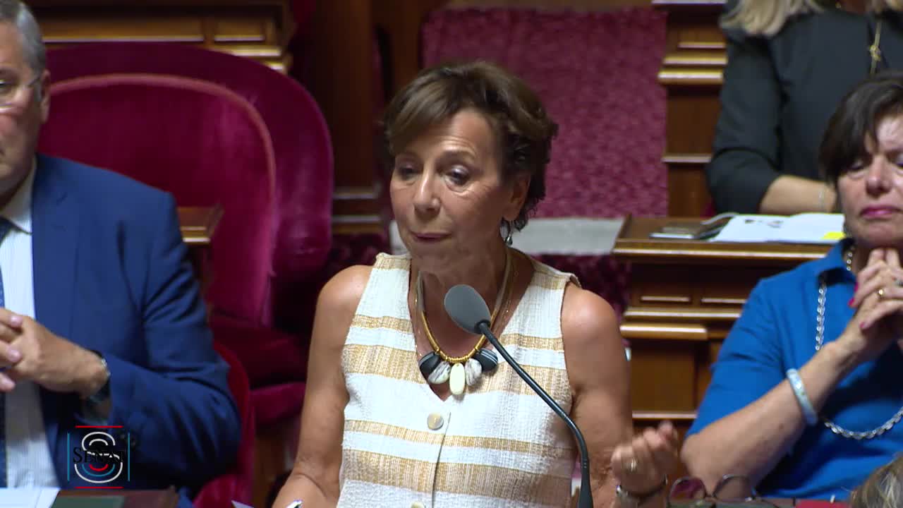 Séance publique du 23 juillet 2019 (après-midi)