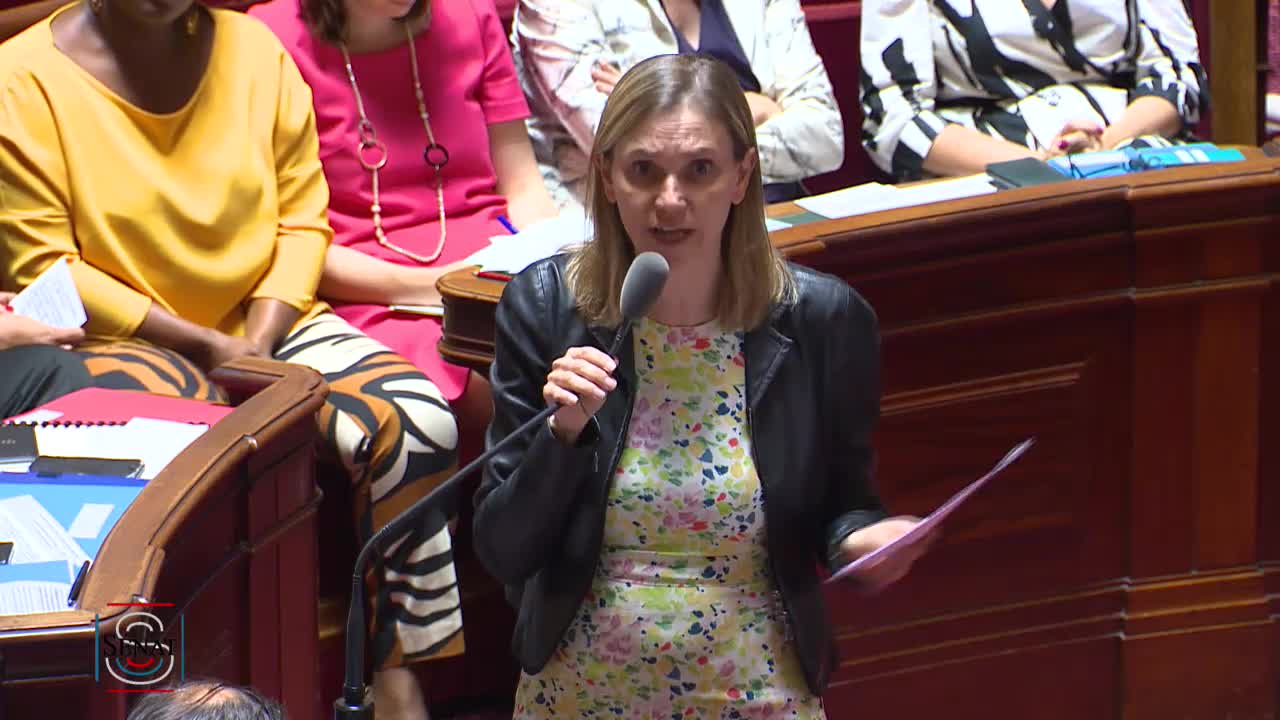 Séance publique du 23 juillet 2019 (après-midi)