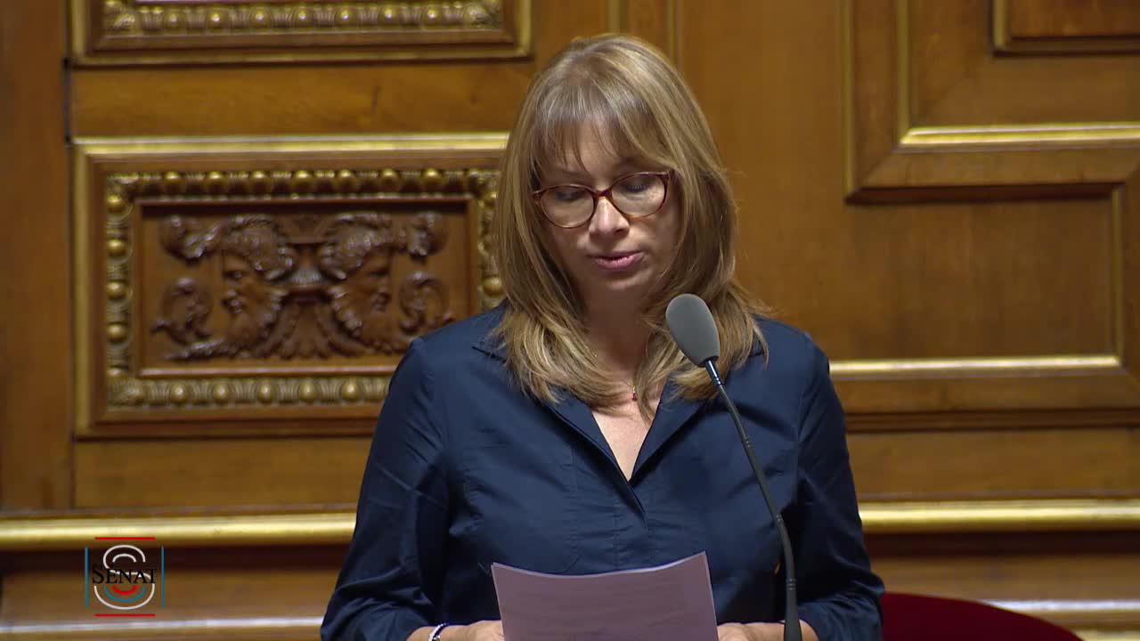 Séance publique du 23 juillet 2019 (après-midi)