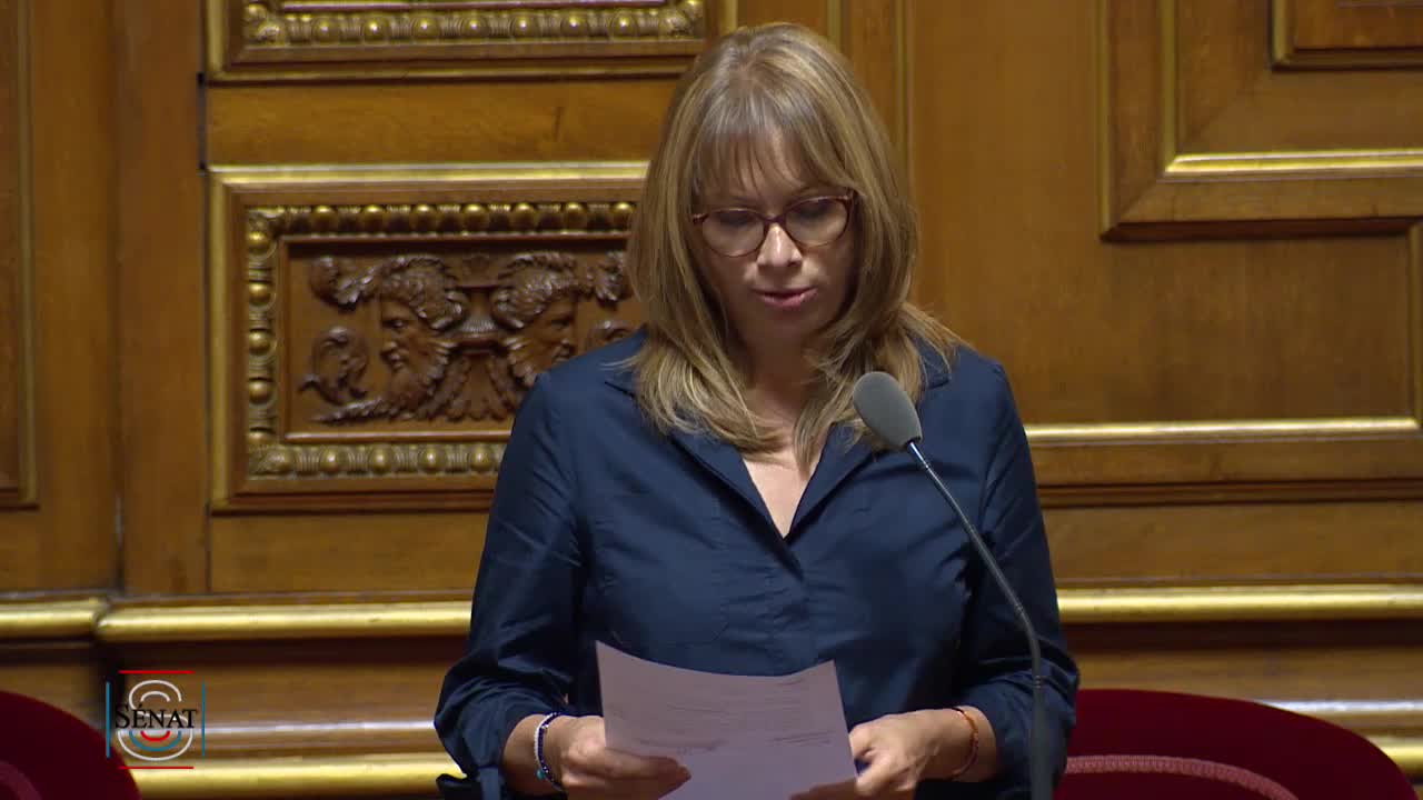 Séance publique du 23 juillet 2019 (après-midi)