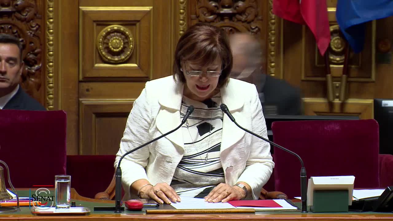 Séance publique du 23 juillet 2019 (après-midi)