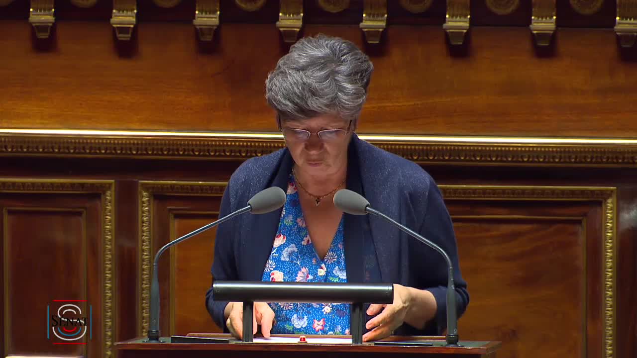 Séance publique du 23 juillet 2019 (après-midi)