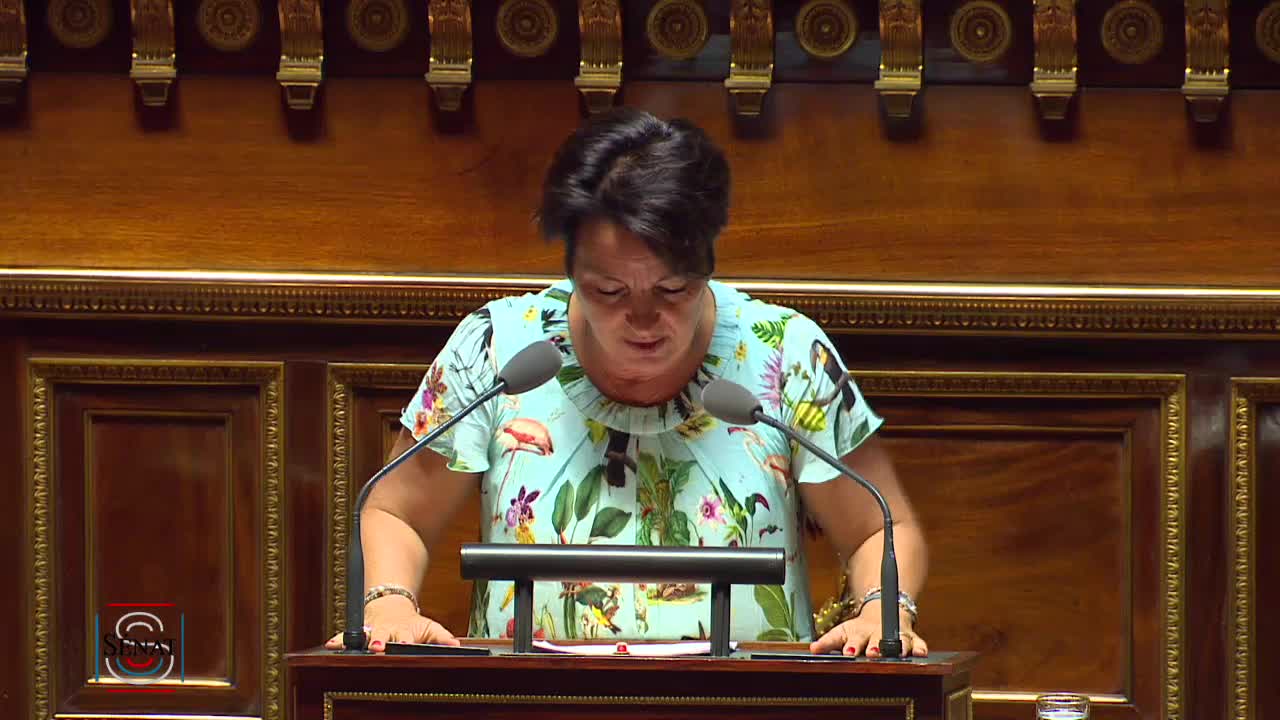 Séance publique du 23 juillet 2019 (après-midi)