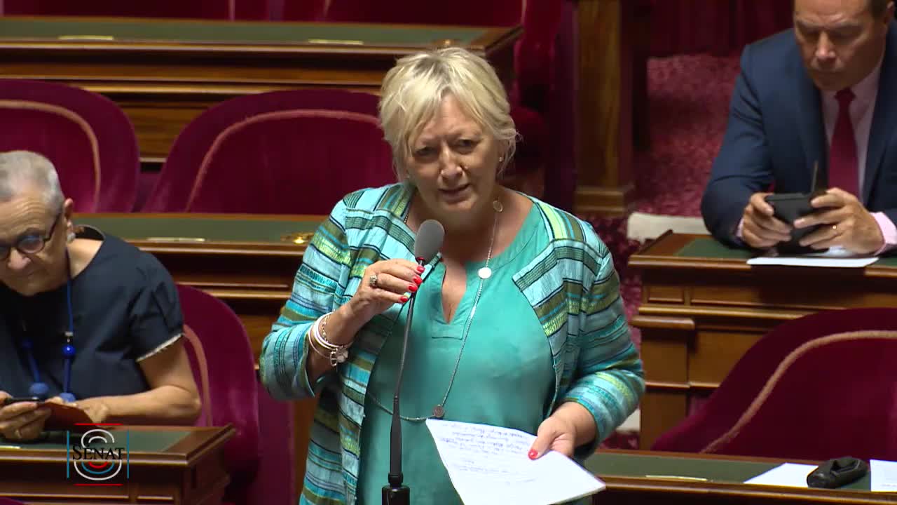 Séance publique du 23 juillet 2019 (après-midi)