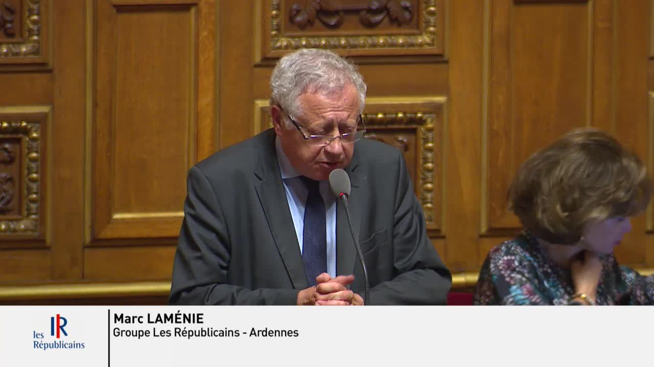 Séance publique du 23 juillet 2019 (après-midi)