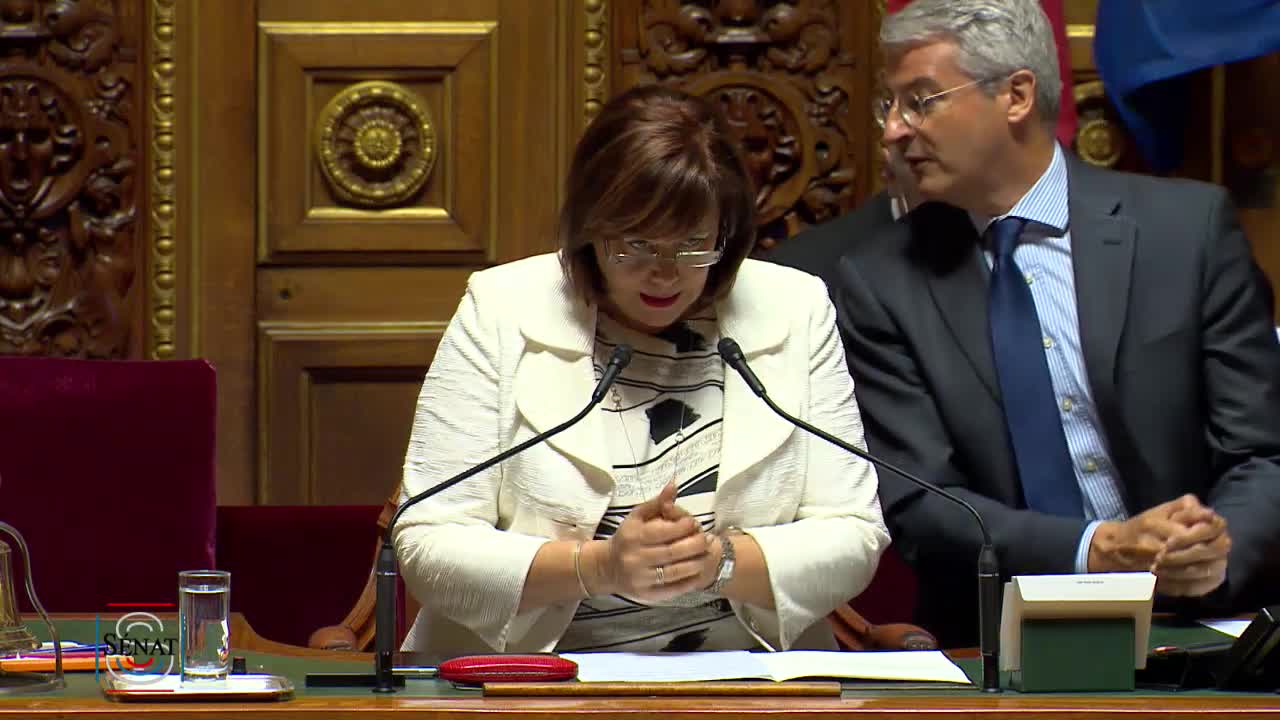 Séance publique du 23 juillet 2019 (après-midi)