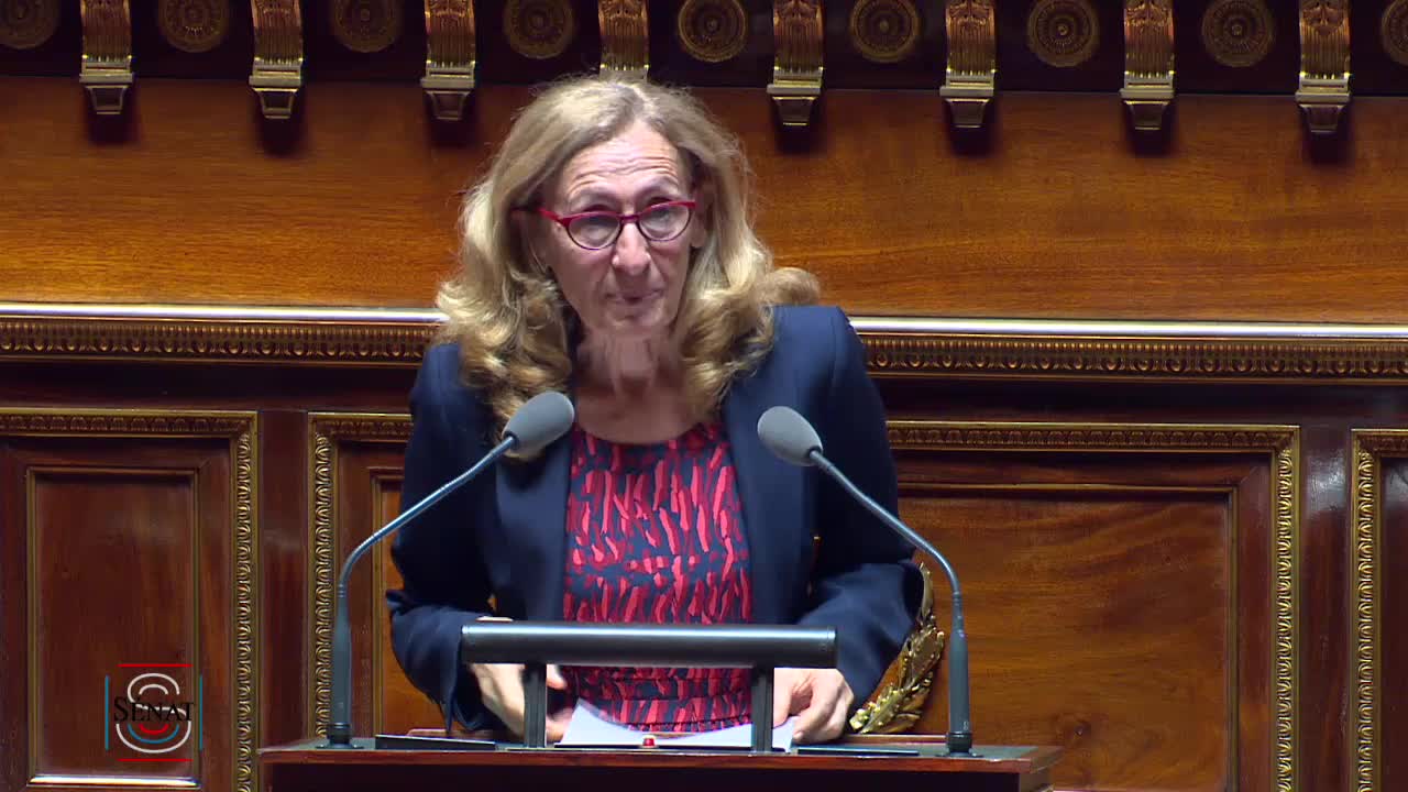 Séance publique du 23 juillet 2019 (après-midi)