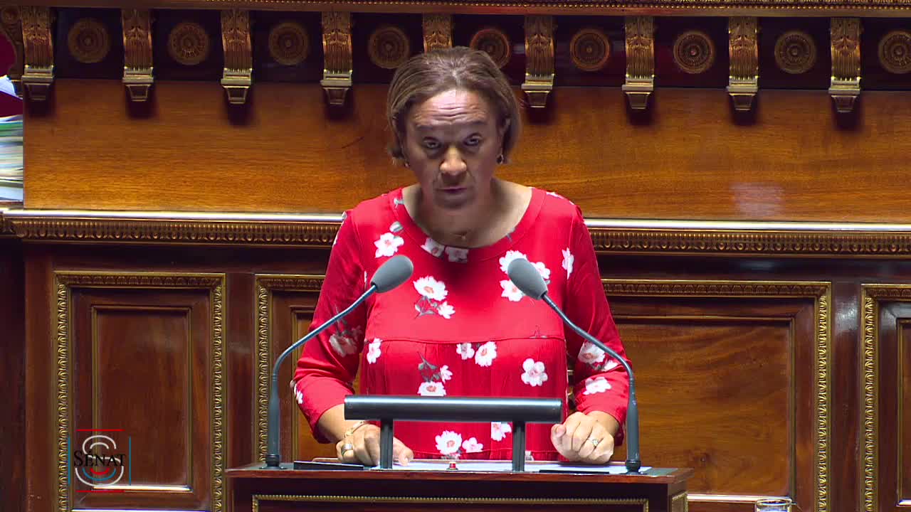 Séance publique du 23 juillet 2019 (après-midi)