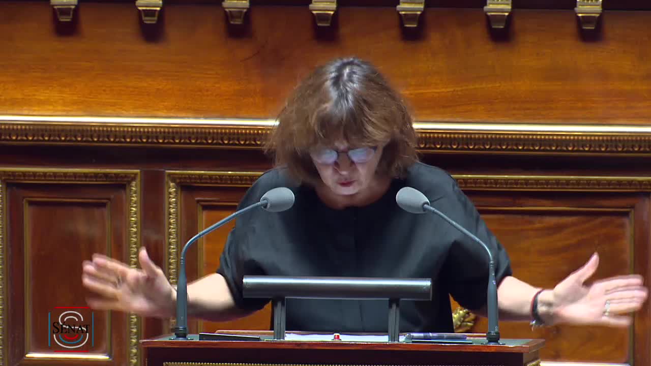 Séance publique du 23 juillet 2019 (après-midi)