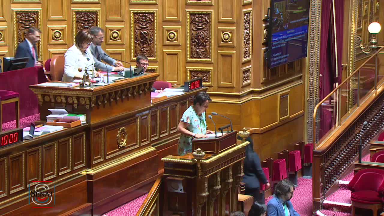 Séance publique du 23 juillet 2019 (après-midi)