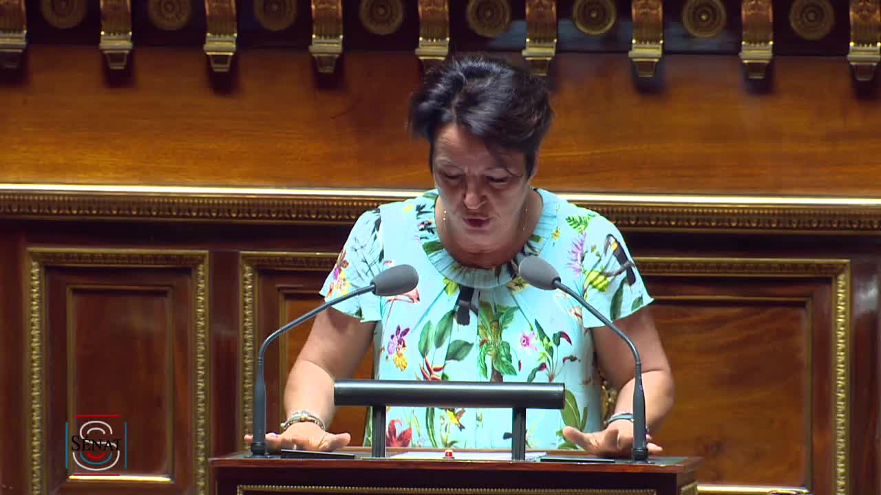 Séance publique du 23 juillet 2019 (après-midi)