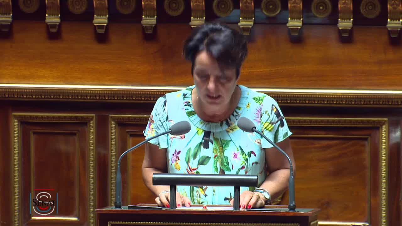 Séance publique du 23 juillet 2019 (après-midi)
