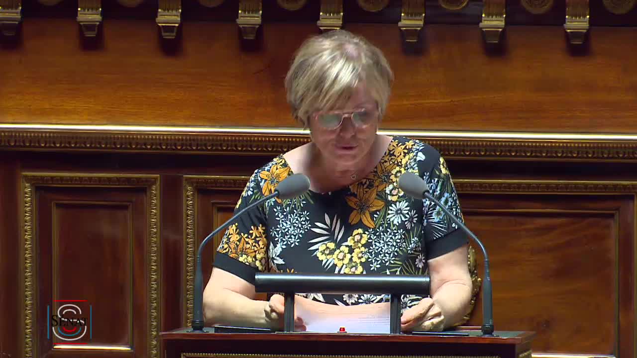 Séance publique du 23 juillet 2019 (après-midi)