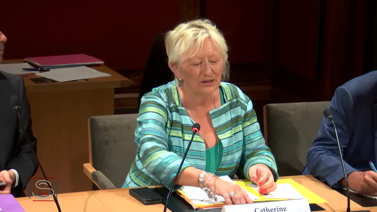 Audition plénière - M. Cédric O, secrétaire d'État au numérique