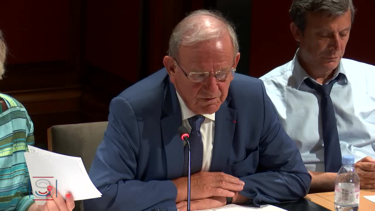 Audition plénière - M. Cédric O, secrétaire d'État au numérique