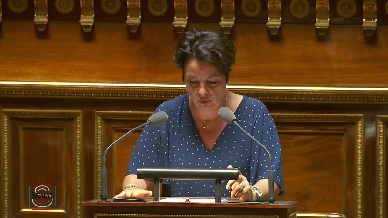 Séance publique du 24 juillet 2019 (après-midi)