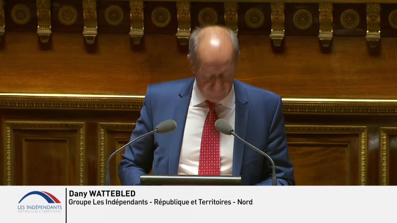 Séance publique du 24 juillet 2019 (après-midi)