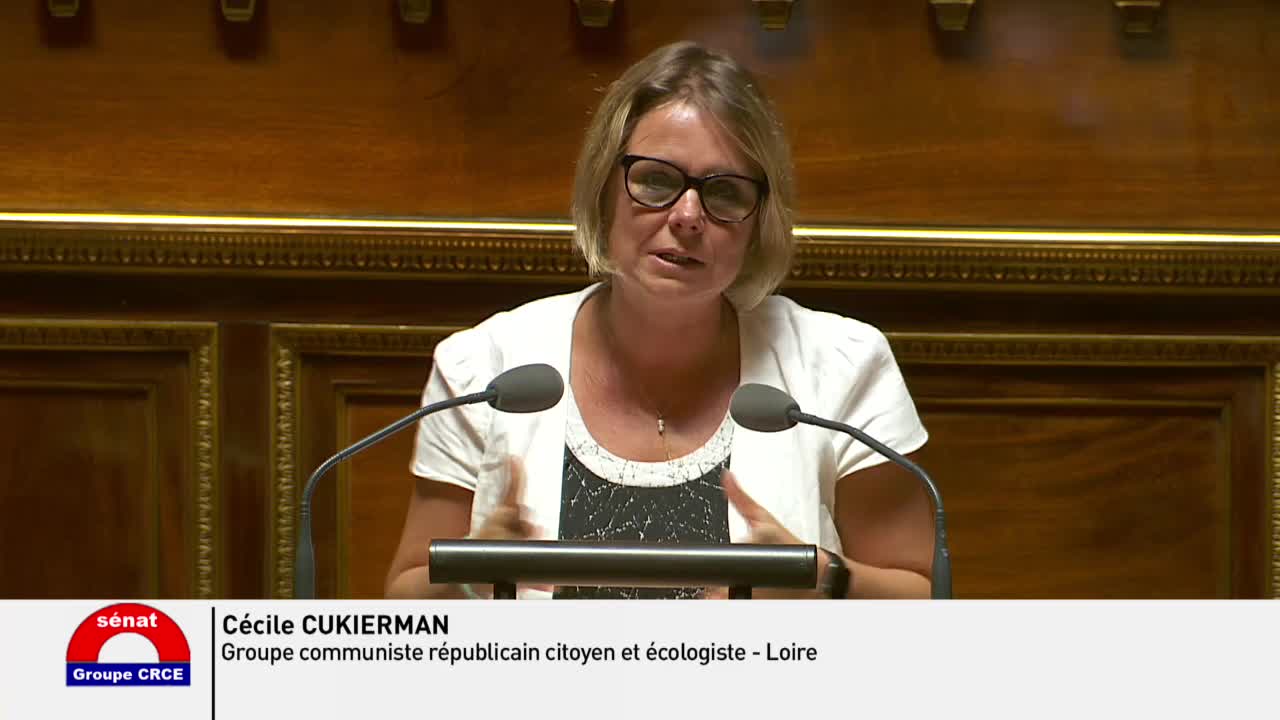 Séance publique du 24 juillet 2019 (après-midi)