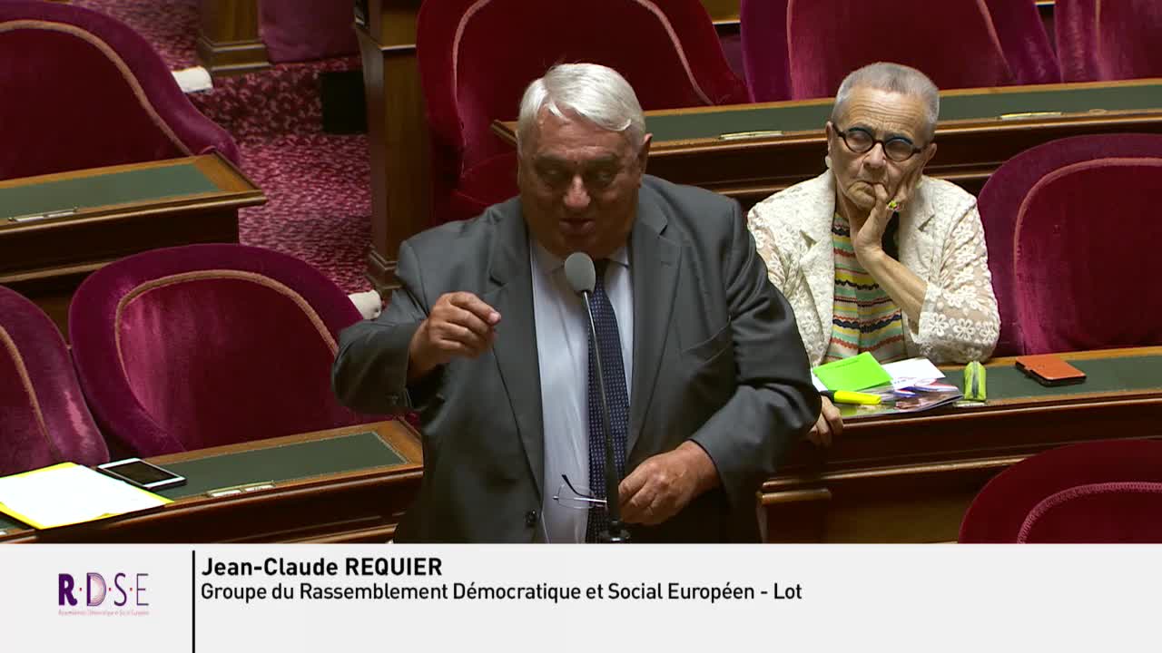 Séance publique du 24 juillet 2019 (après-midi)