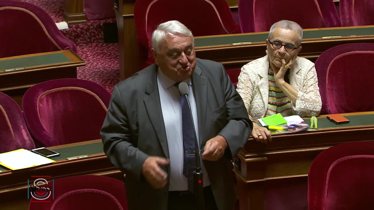 Séance publique du 24 juillet 2019 (après-midi)