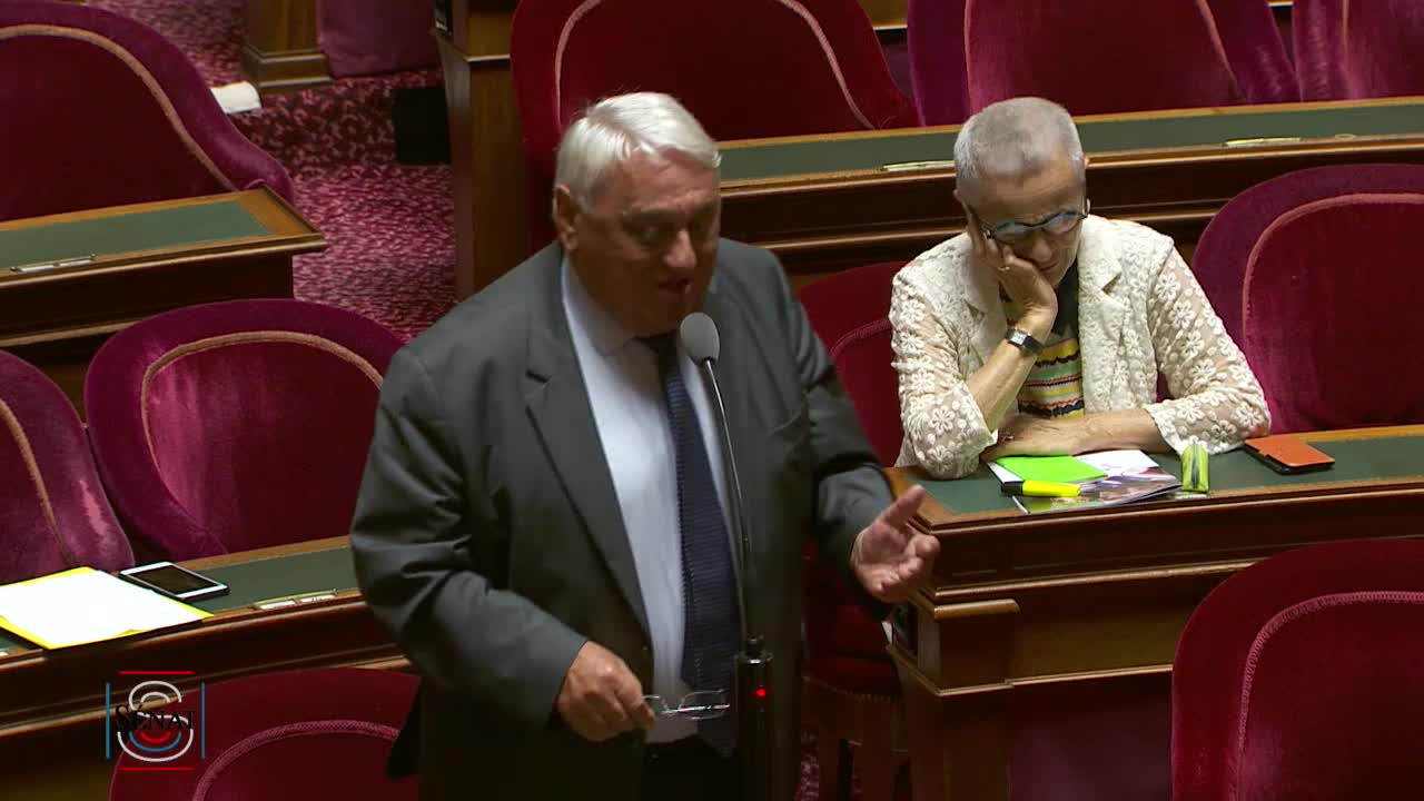 Séance publique du 24 juillet 2019 (après-midi)
