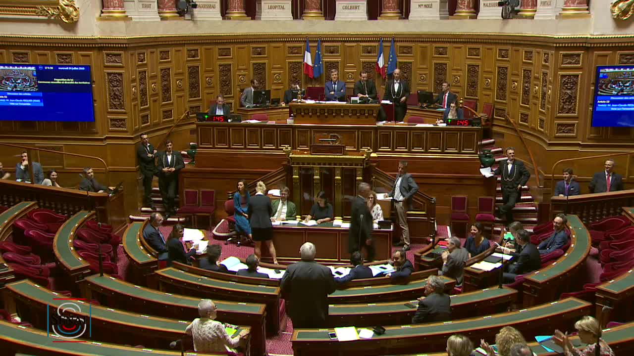 Séance publique du 24 juillet 2019 (après-midi)