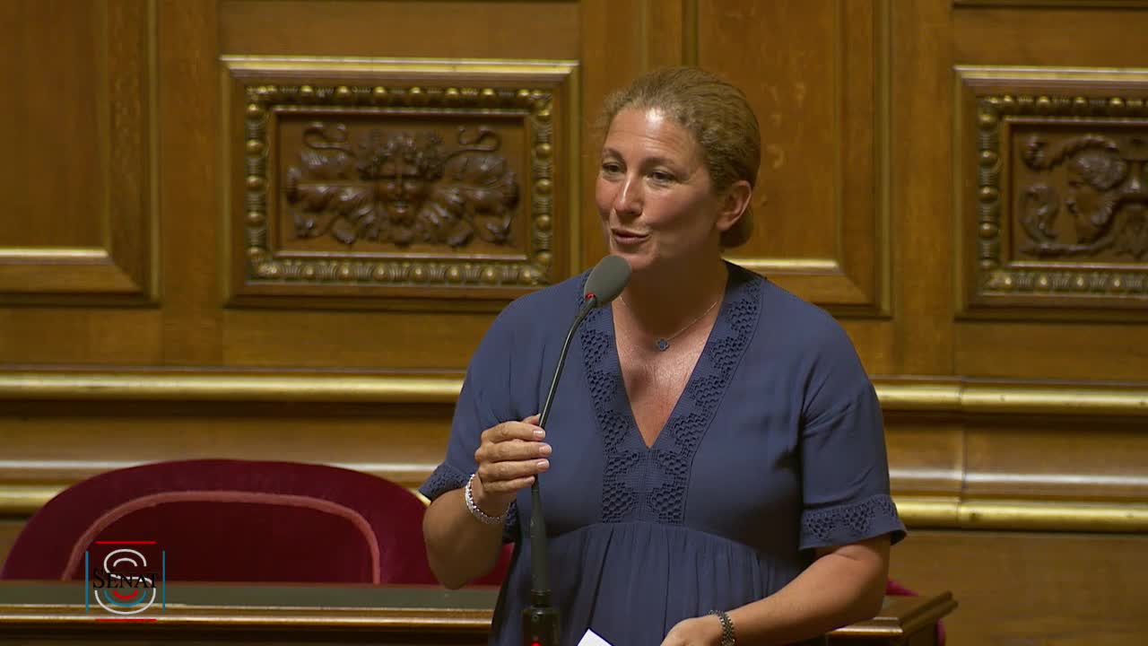 Séance publique du 24 juillet 2019 (après-midi)