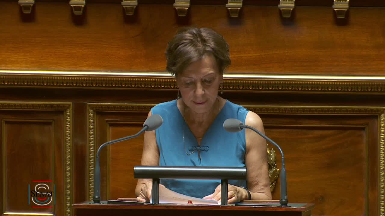 Séance publique du 24 juillet 2019 (après-midi)
