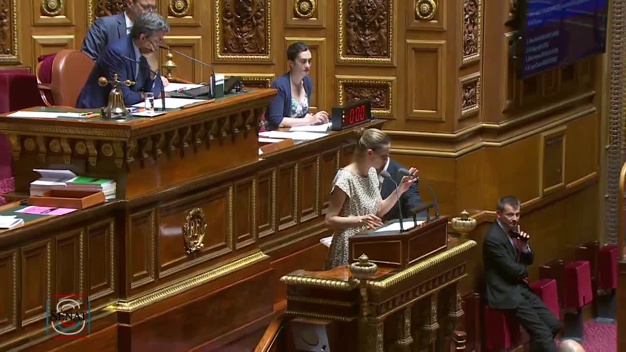 Séance publique du 24 juillet 2019 (après-midi)