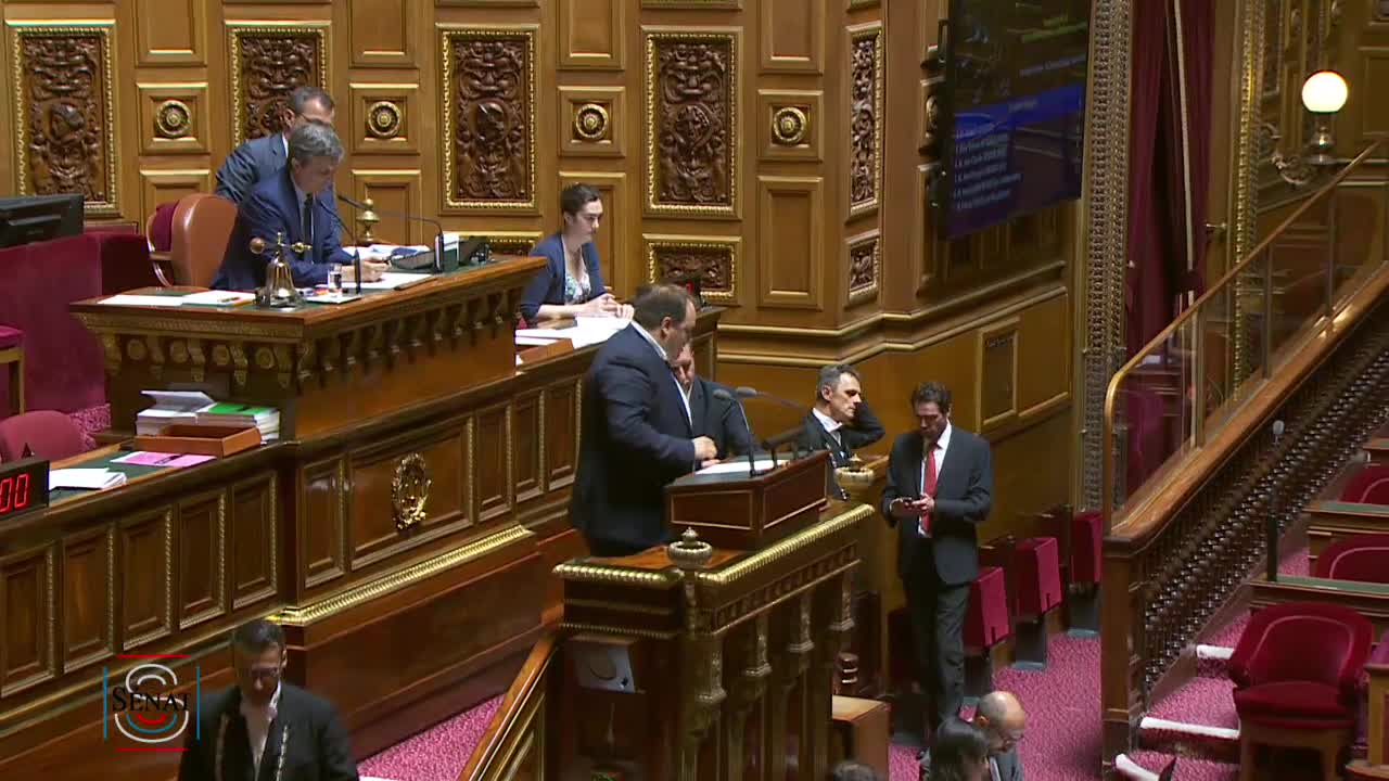 Séance publique du 24 juillet 2019 (après-midi)
