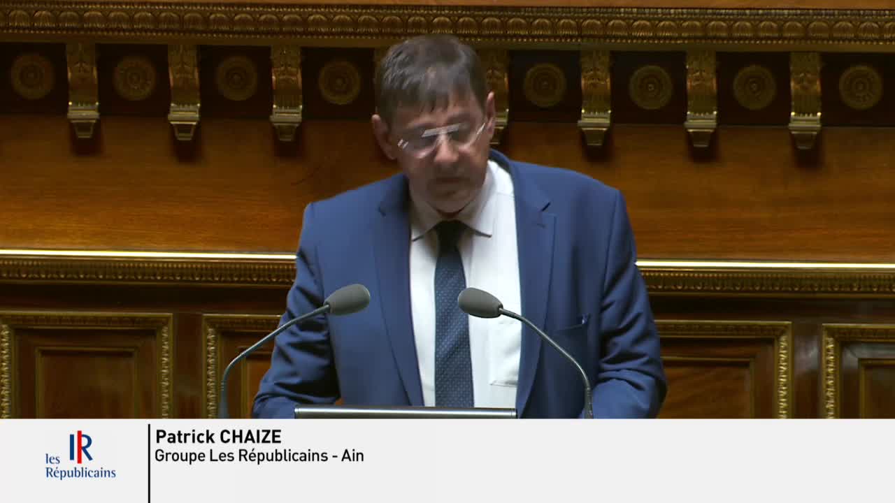 Séance publique du 24 juillet 2019 (après-midi)