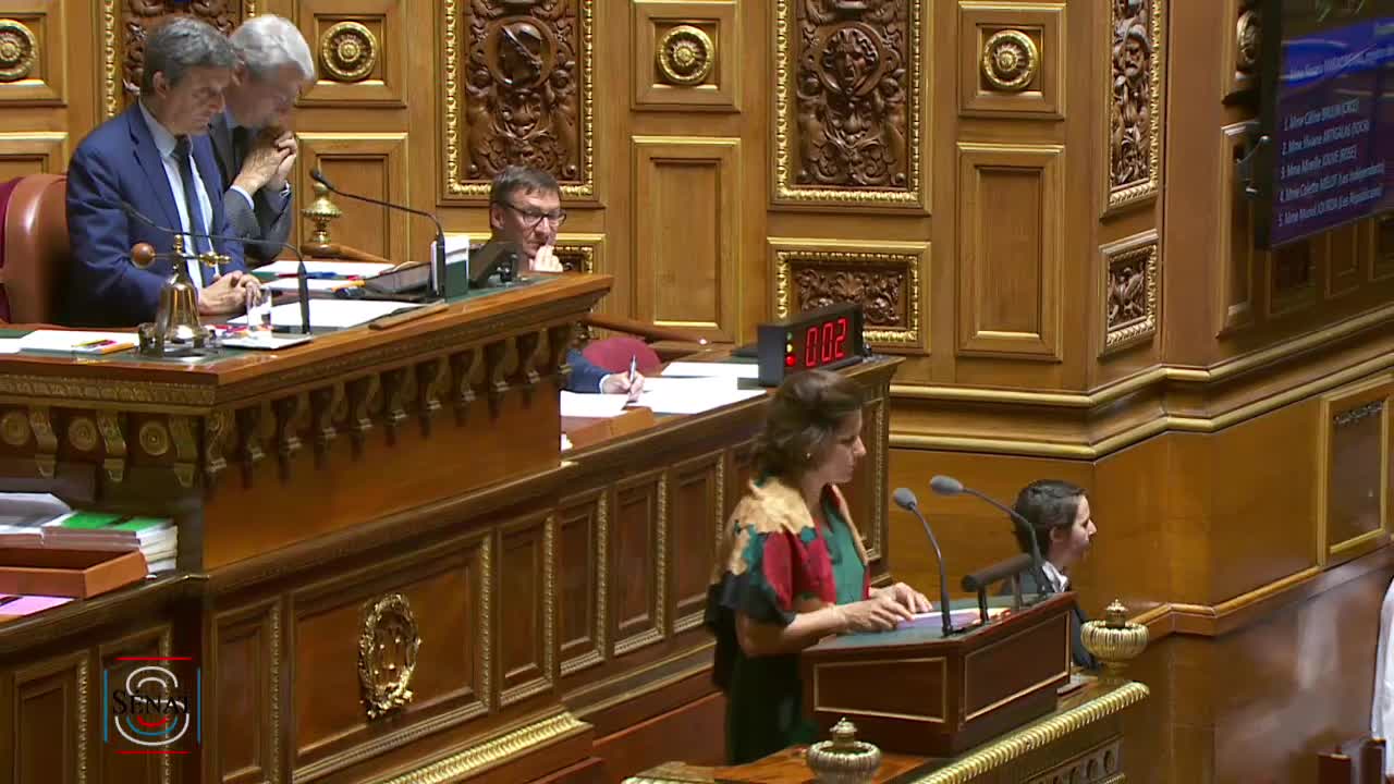Séance publique du 24 juillet 2019 (après-midi)
