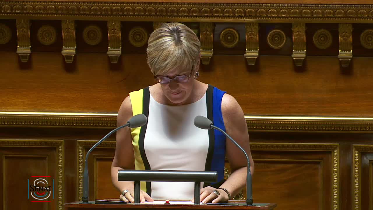 Séance publique du 24 juillet 2019 (après-midi)