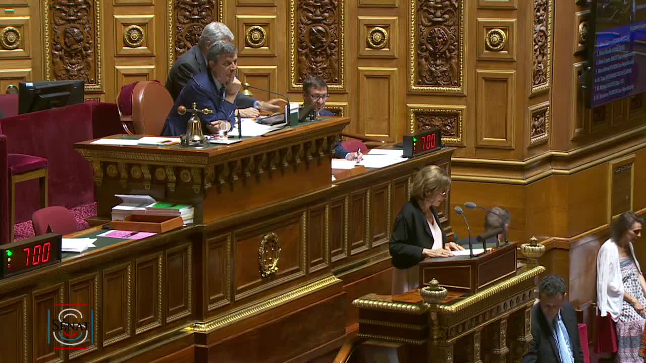 Séance publique du 24 juillet 2019 (après-midi)