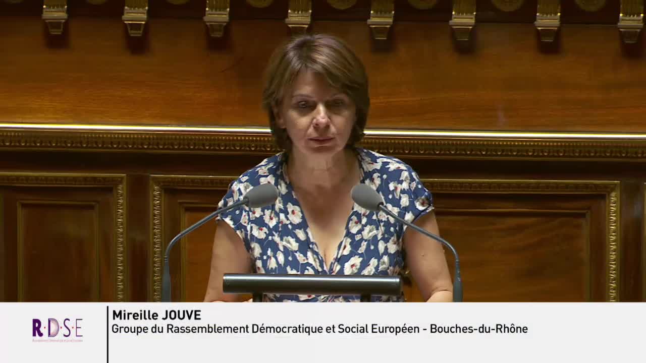 Séance publique du 24 juillet 2019 (après-midi)