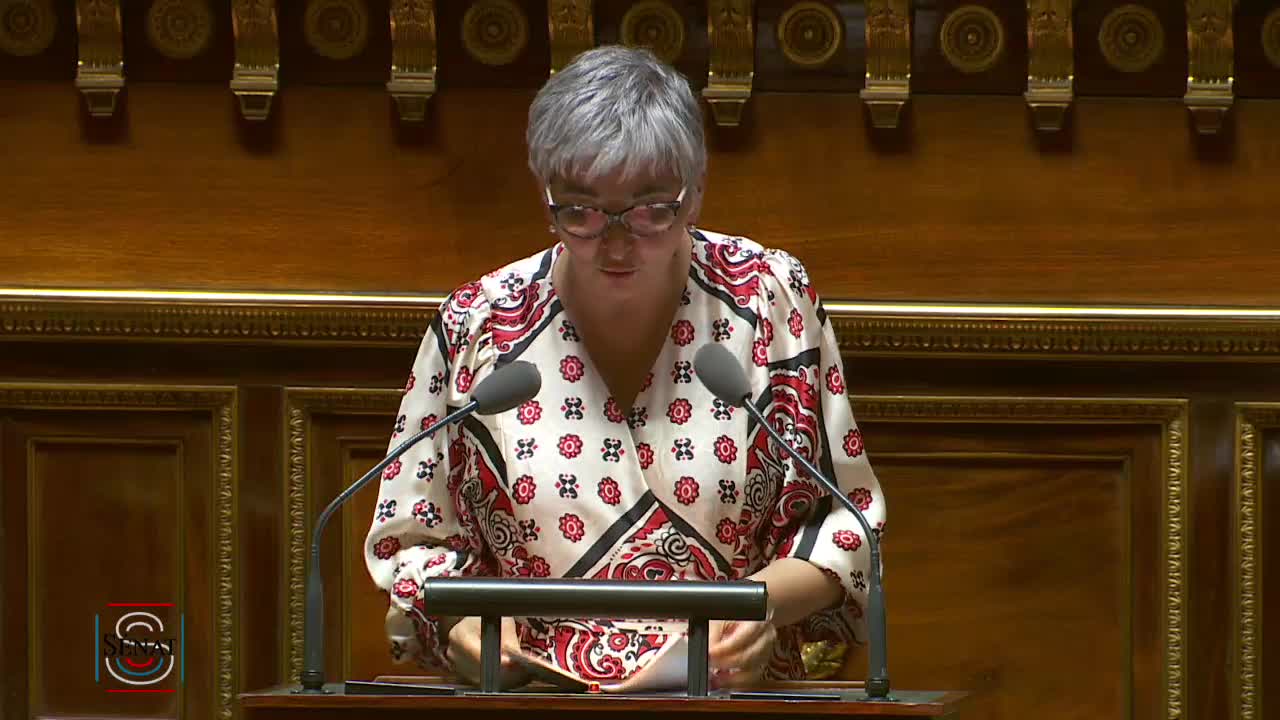 Séance publique du 24 juillet 2019 (après-midi)