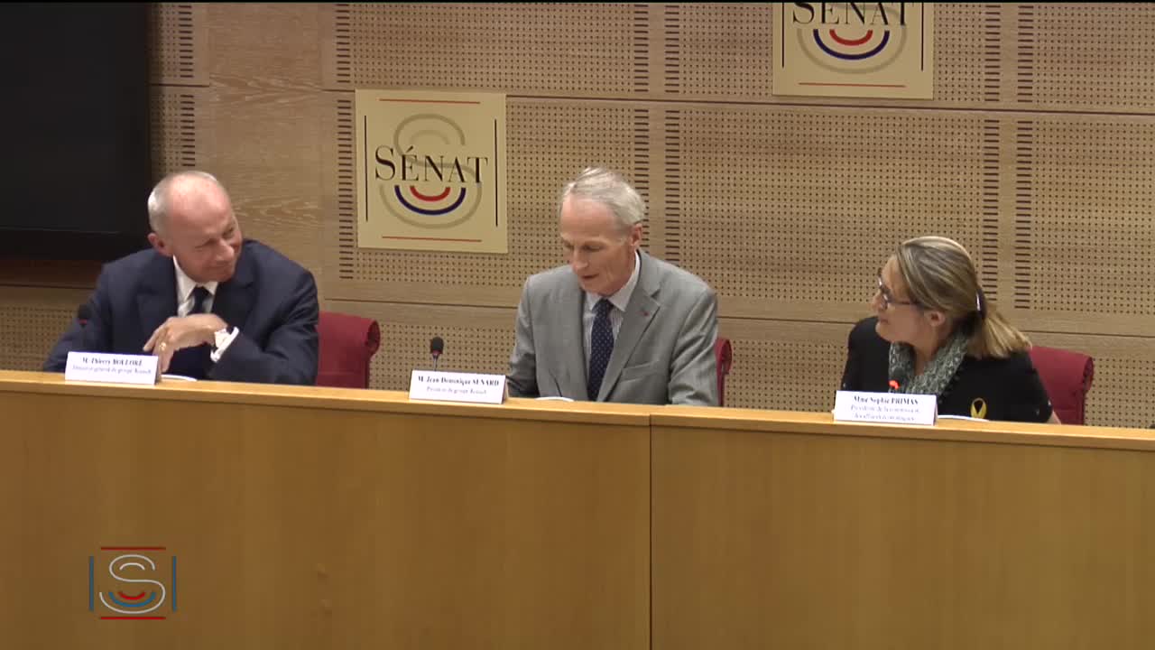 Audition de M. Jean-Dominique Senard, président du groupe Renault, et de M. Thierry Bolloré, directeur général du groupe Renault