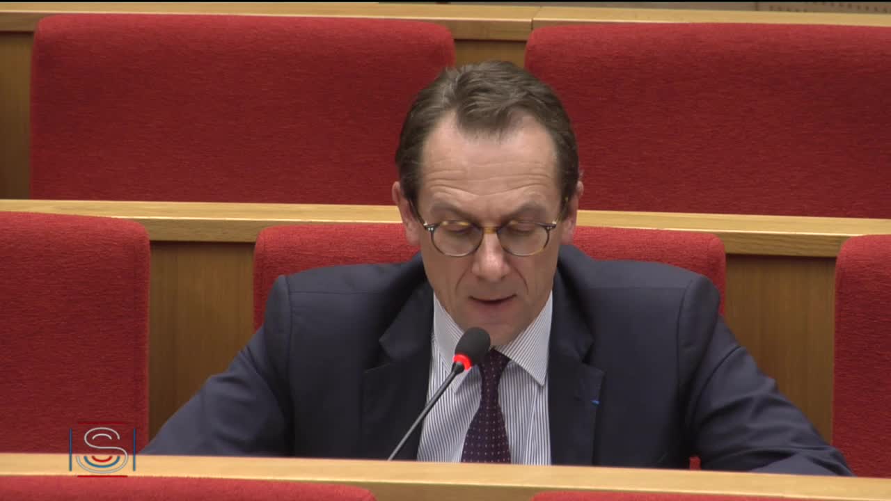 Audition de M. Jean-Dominique Senard, président du groupe Renault, et de M. Thierry Bolloré, directeur général du groupe Renault