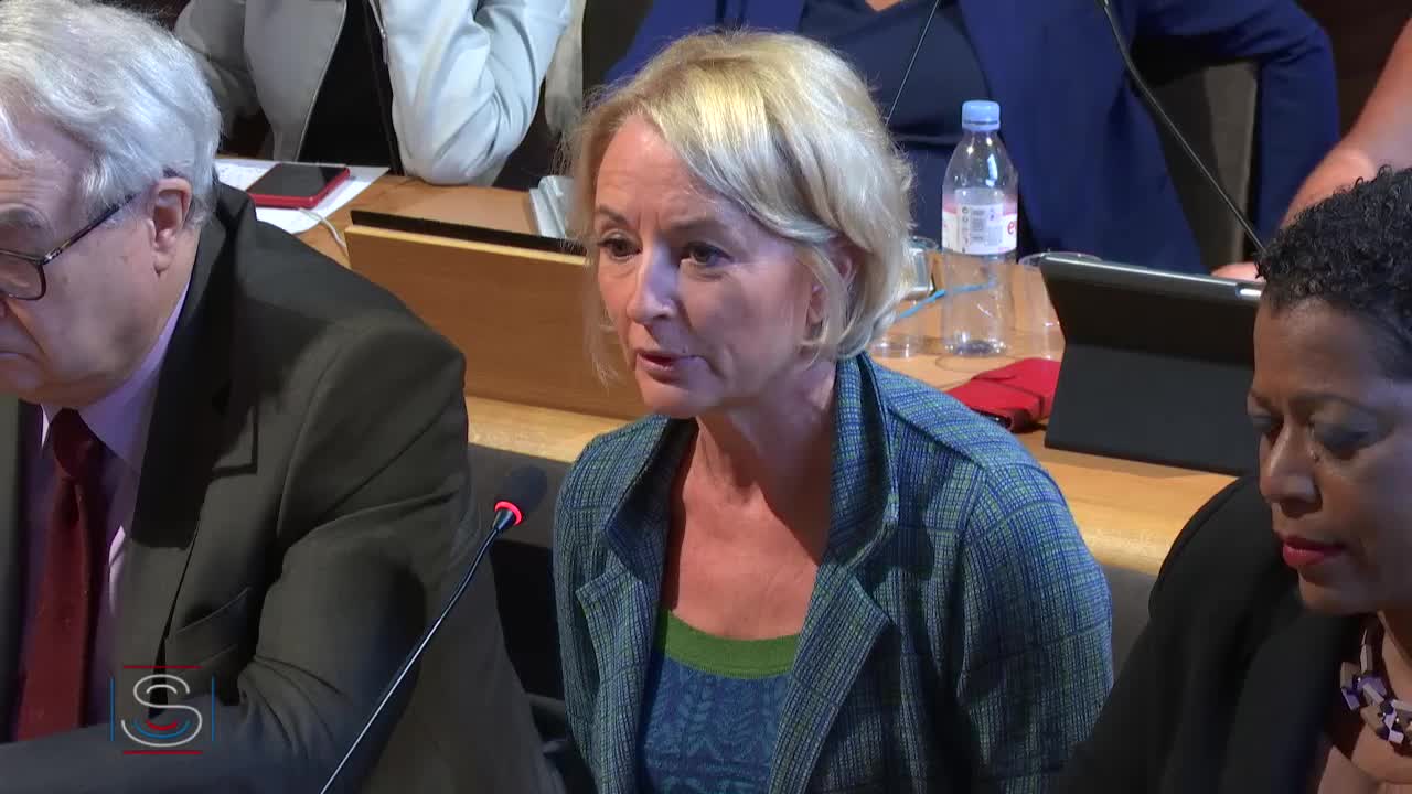 Audition plénière - Audition de M. Frank Bellivier, délégué ministériel à la santé mentale et à la psychiatrie