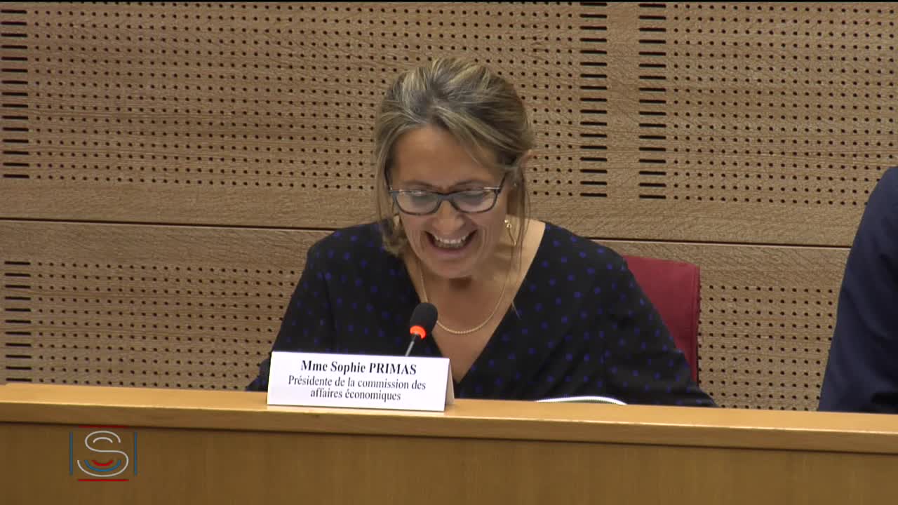 PLEC : Examen d’un rapport et établissement du texte - PPL Adoption de règlements locaux de publicité intercommunaux