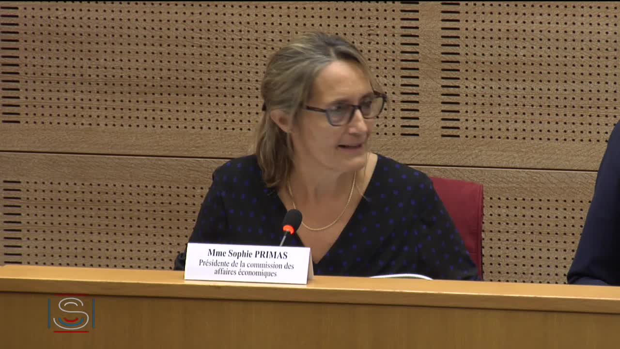 PLEC : Examen d’un rapport et établissement du texte - PPL Adoption de règlements locaux de publicité intercommunaux