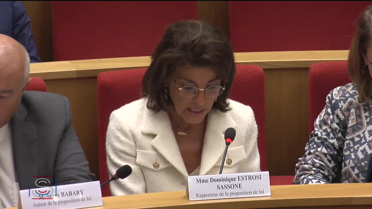 PLEC : Examen d’un rapport et établissement du texte - PPL Adoption de règlements locaux de publicité intercommunaux