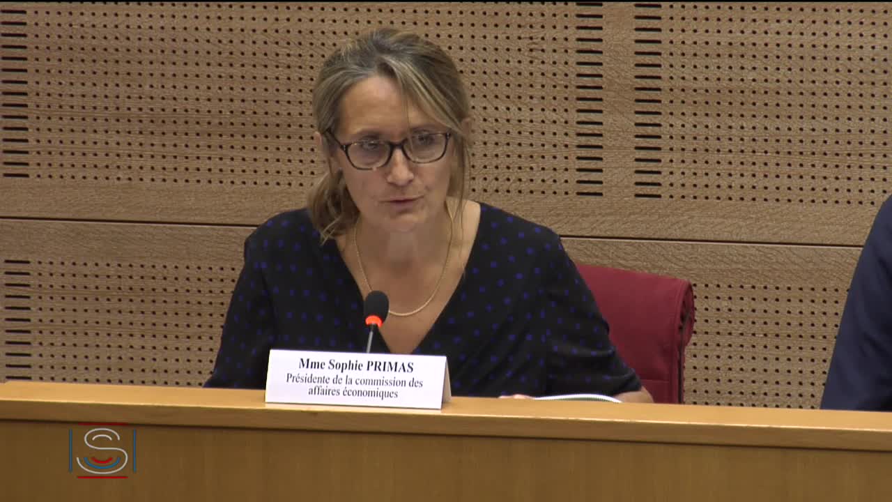 PLEC : Examen d’un rapport et établissement du texte - PPL Adoption de règlements locaux de publicité intercommunaux