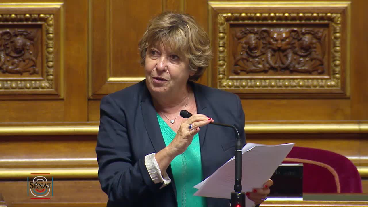 Séance publique du 25 septembre 2019 (après-midi)