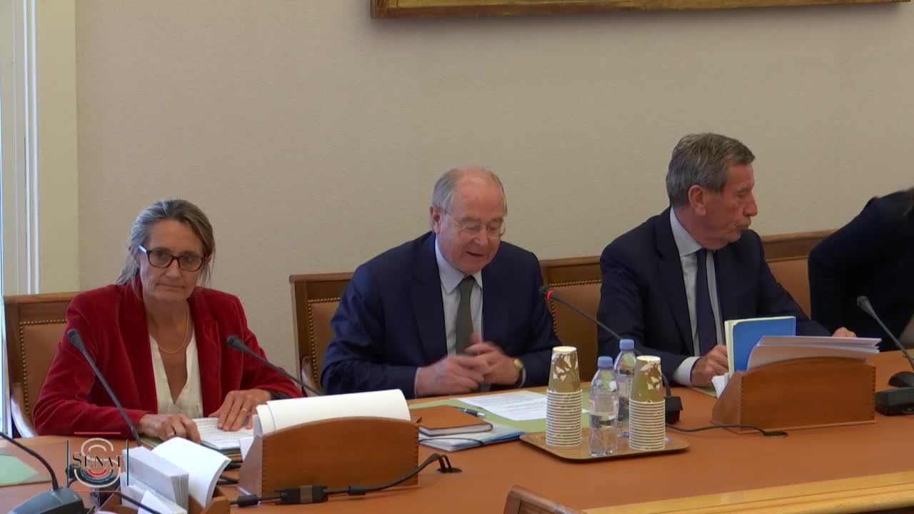 Audition de M. Jean-Michel Thillier, directeur général adjoint des Douanes et des droits indirects